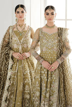 Load image into Gallery viewer, B - EMBROIDERED NET CH10-02 (PESHWAS STYLE)
