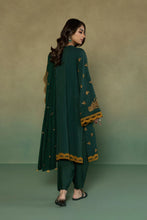 Load image into Gallery viewer, S - EMBROIDERED KARANDI GREEN 3PC
